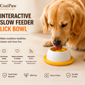 Slow feeder bowl for dogs that supports calmer everyday feeding