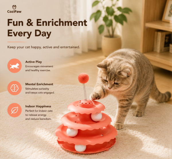 Indoor cat playing with interactive enrichment toy at home