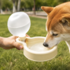 CoziPaw dog drinking from a portable water bottle during an outdoor walk